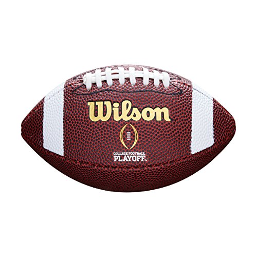 WILSON Football NFL MINI MICRO, Brown, MINI, F1637